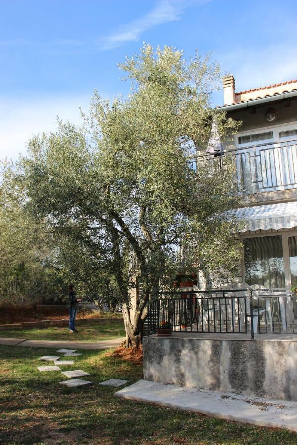 Turkovic Apartments Zgaljic Exterior foto
